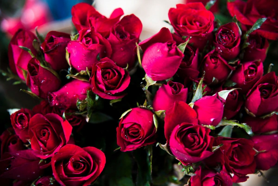 Сюрприз в Братиславе за пару кликов: доставка цветов и подарков от AnnetFlowers