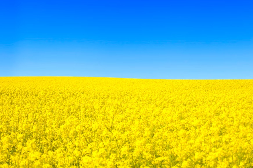 20 интересных фактов об Украине