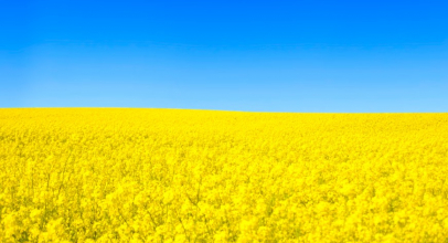 20 цікавих фактів про Україну