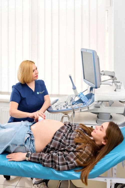 Роль процедури фолікулометрія в лікуванні безпліддя