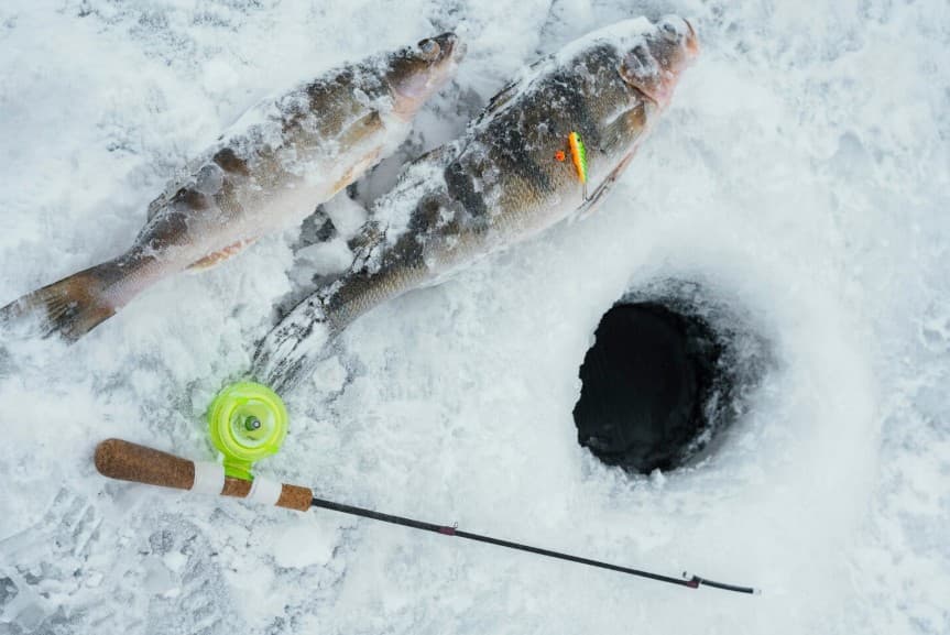 Зимові вудки для риболовлі: як обрати снасть для мормишки та блешнення