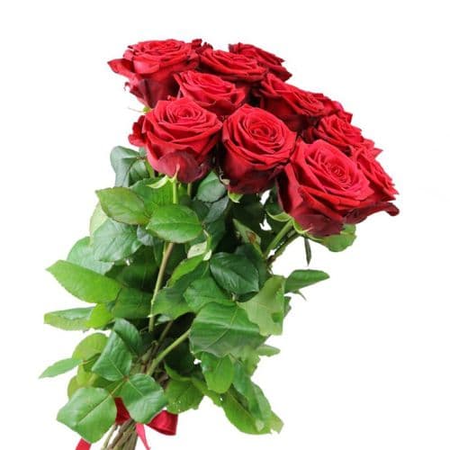 11 красных роз "Мелинда"