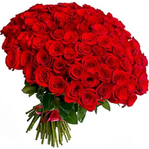 101 красная роза "Большая любовь"